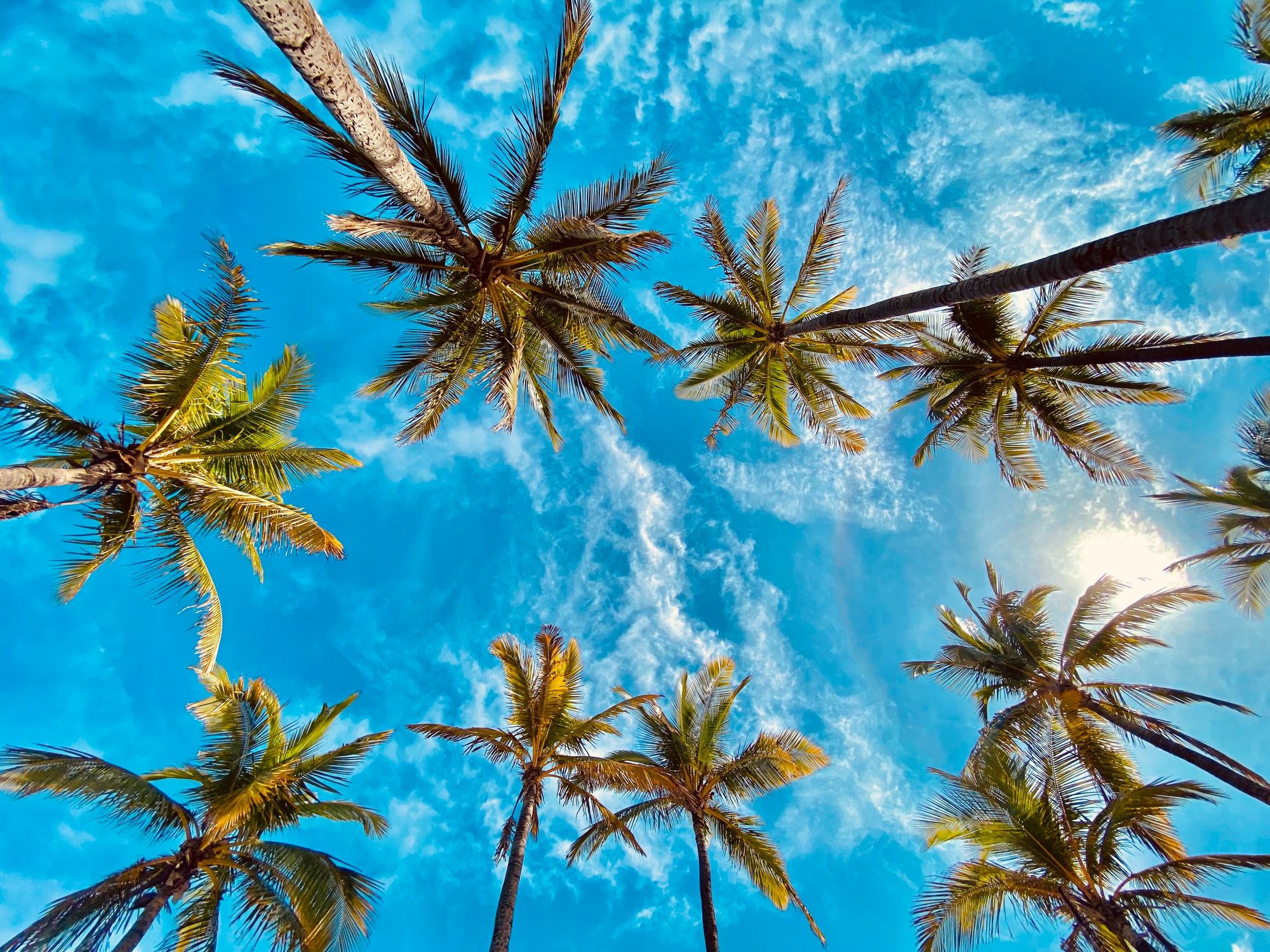 Springtime Rewards: The Ultimate Guide to Earning on Spring Travel, Clothes, and mreo