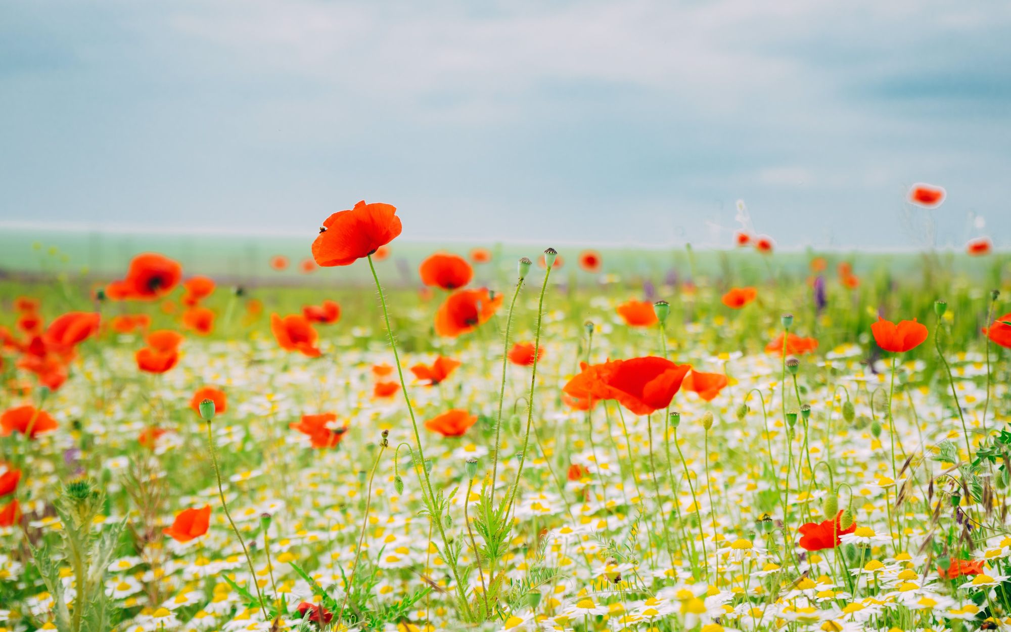 Top Stores of May on Lolli: Earn More on Travel, Fashion, Mother's Day, and More