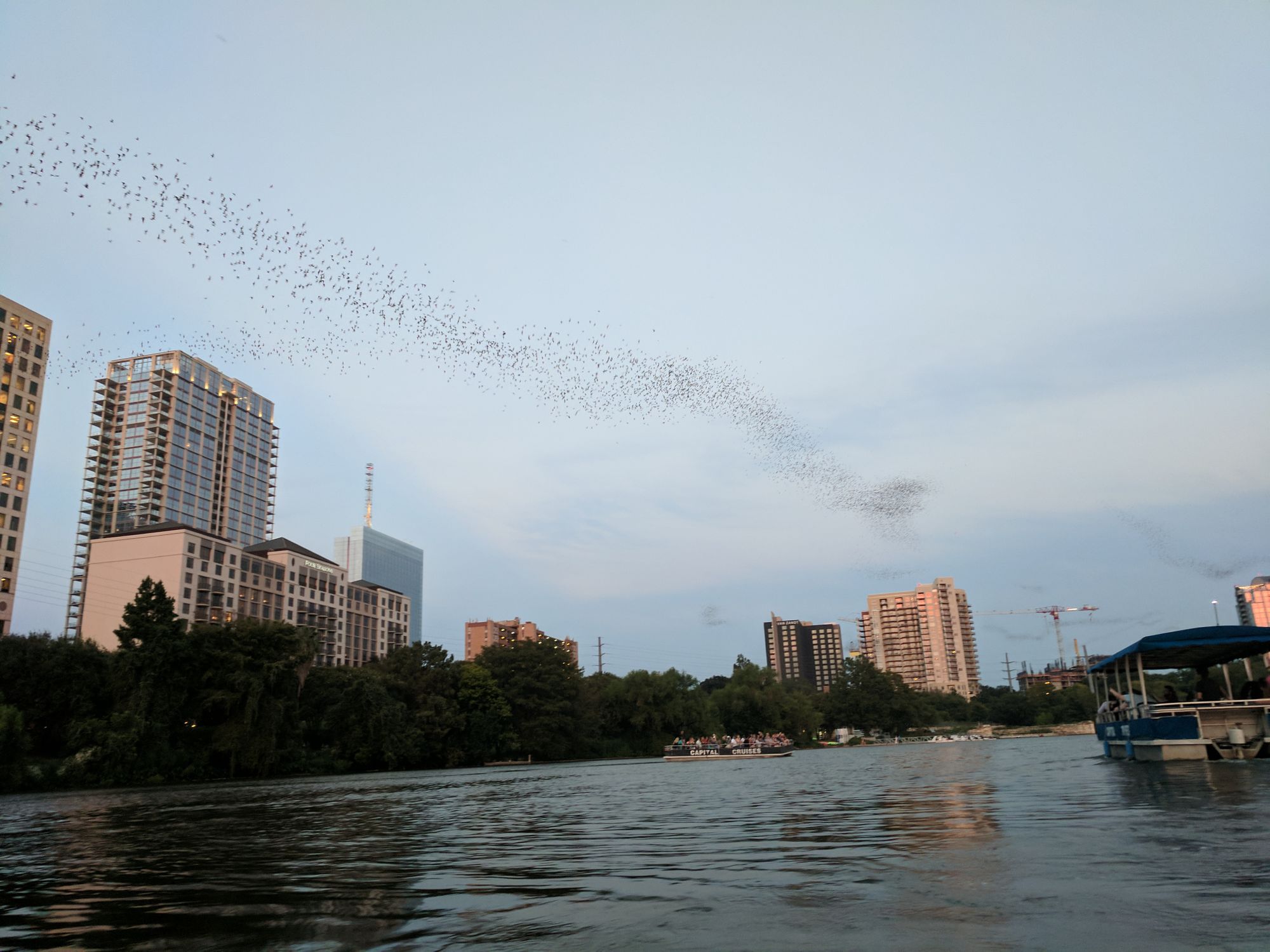 Date Night: Bat Watching from Kayaks