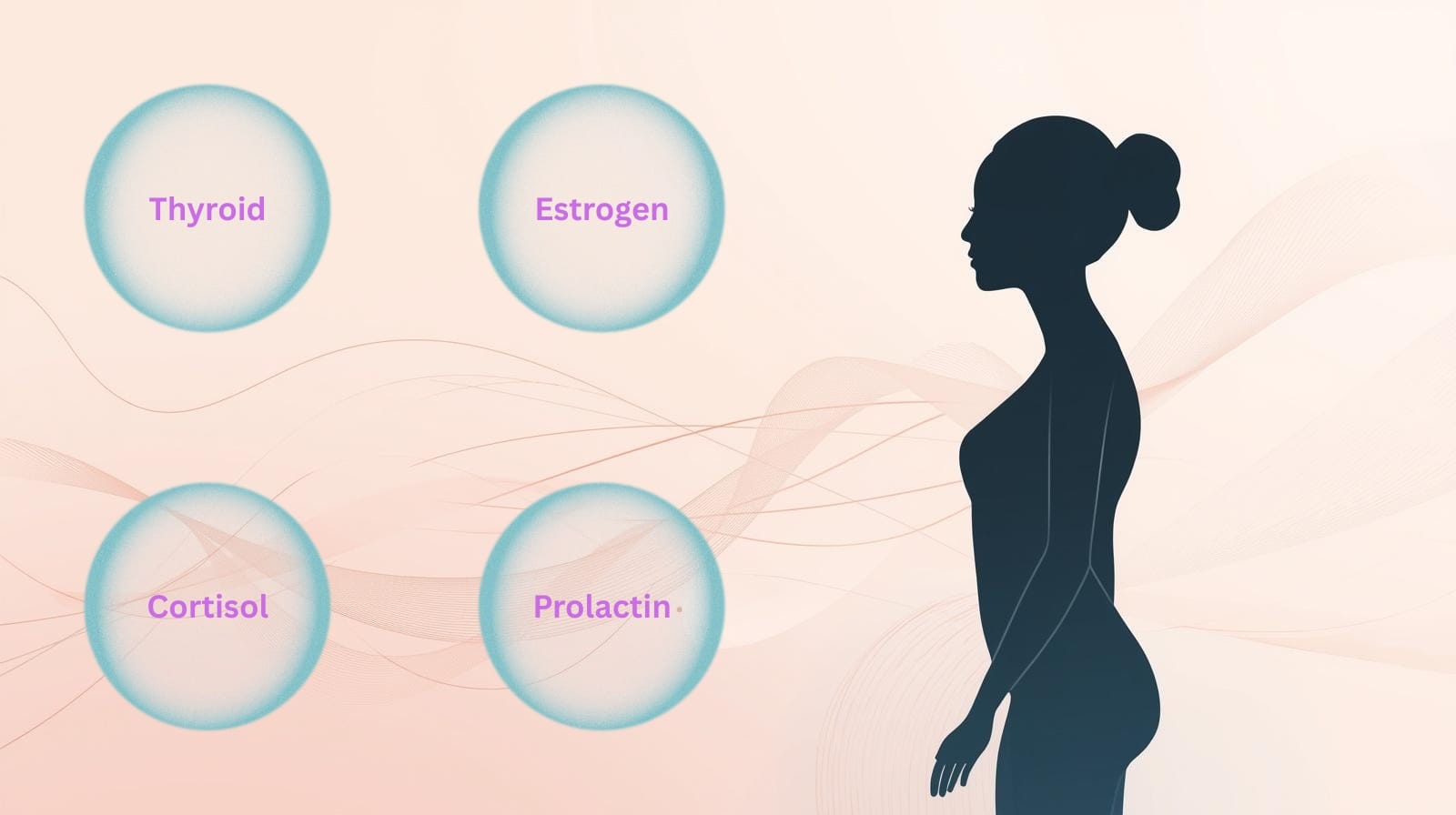 Illustration showing key hormones affected after pregnancy — thyroid, prolactin, cortisol, and estrogen