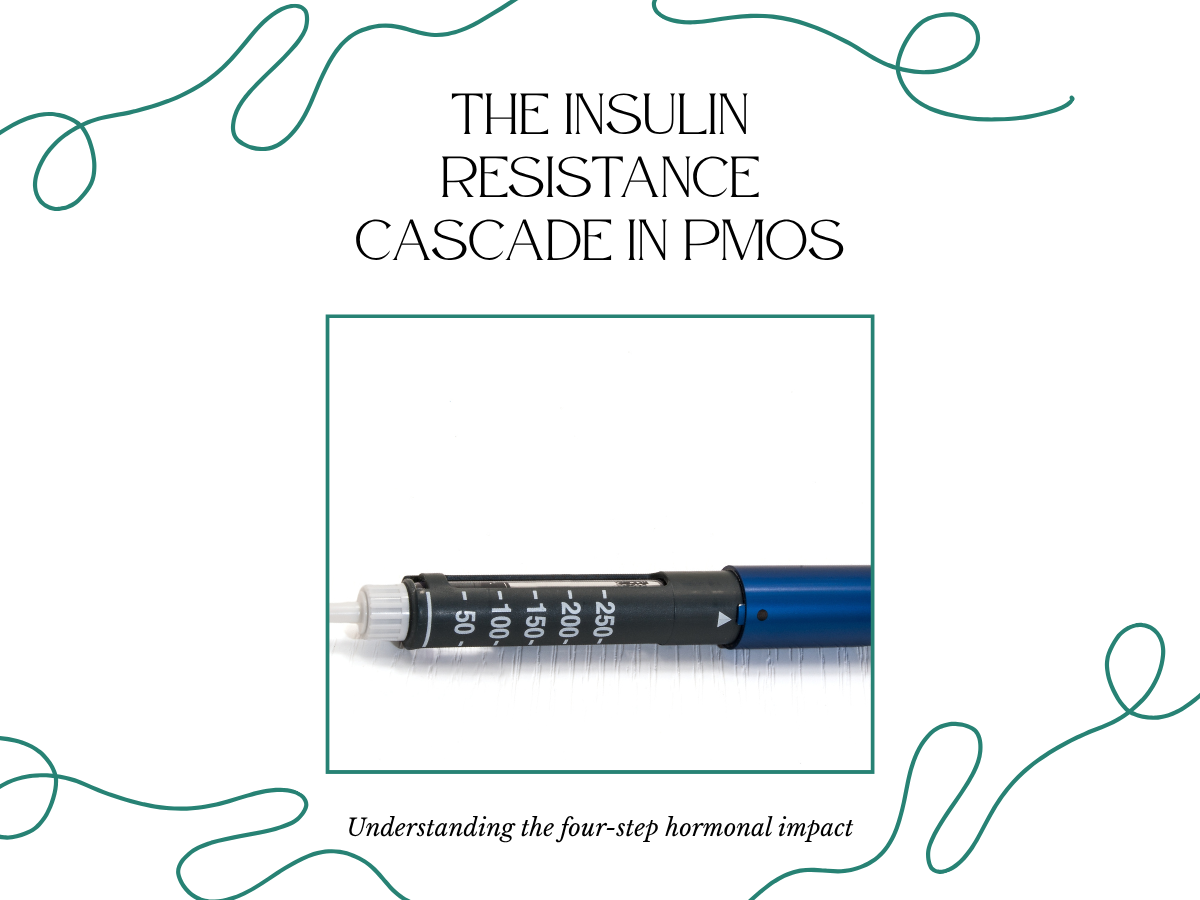 PMOS metabolism diagram showing how insulin resistance drives androgen excess and disrupts ovarian function in Indian women