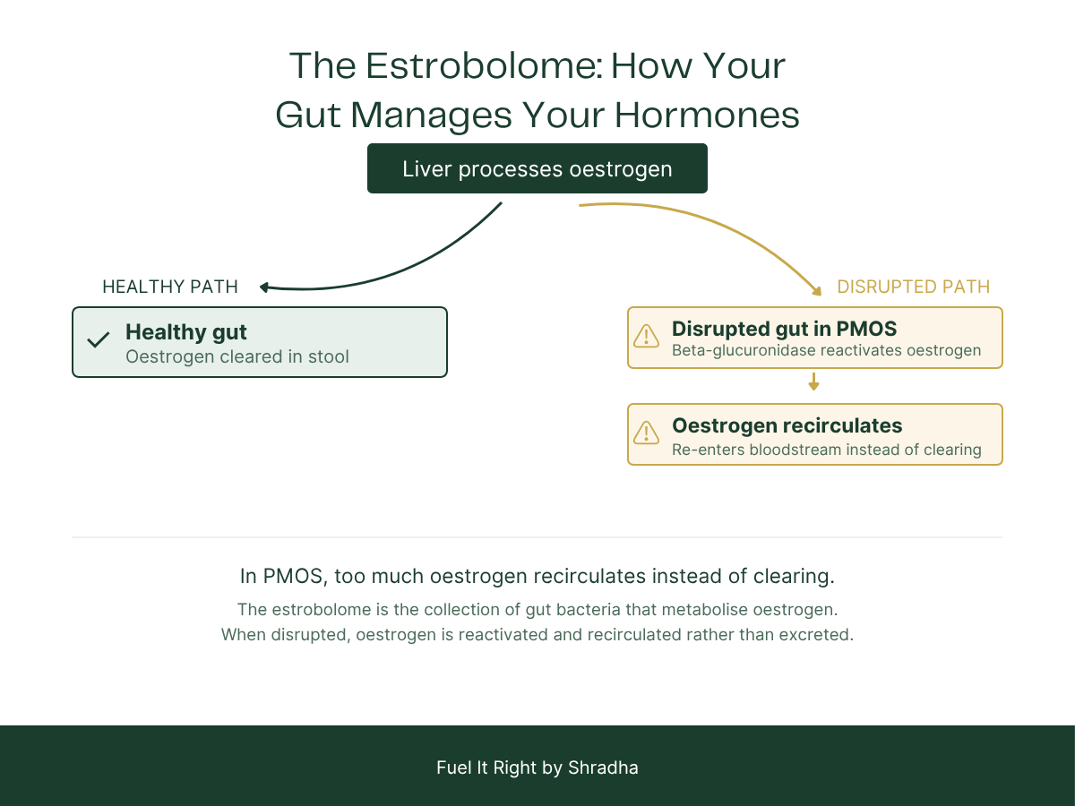 Estrobolome and PMOS — how gut bacteria regulate oestrogen clearance, beta-glucuronidase reactivates oestrogen in disrupted gut causing recirculation in Indian women with PMOS