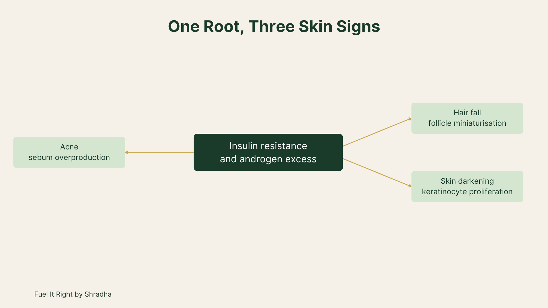 One root three skin signs in PCOS PMOS — insulin resistance and androgen excess drives acne sebum overproduction hair fall follicle miniaturisation skin darkening keratinocyte proliferation