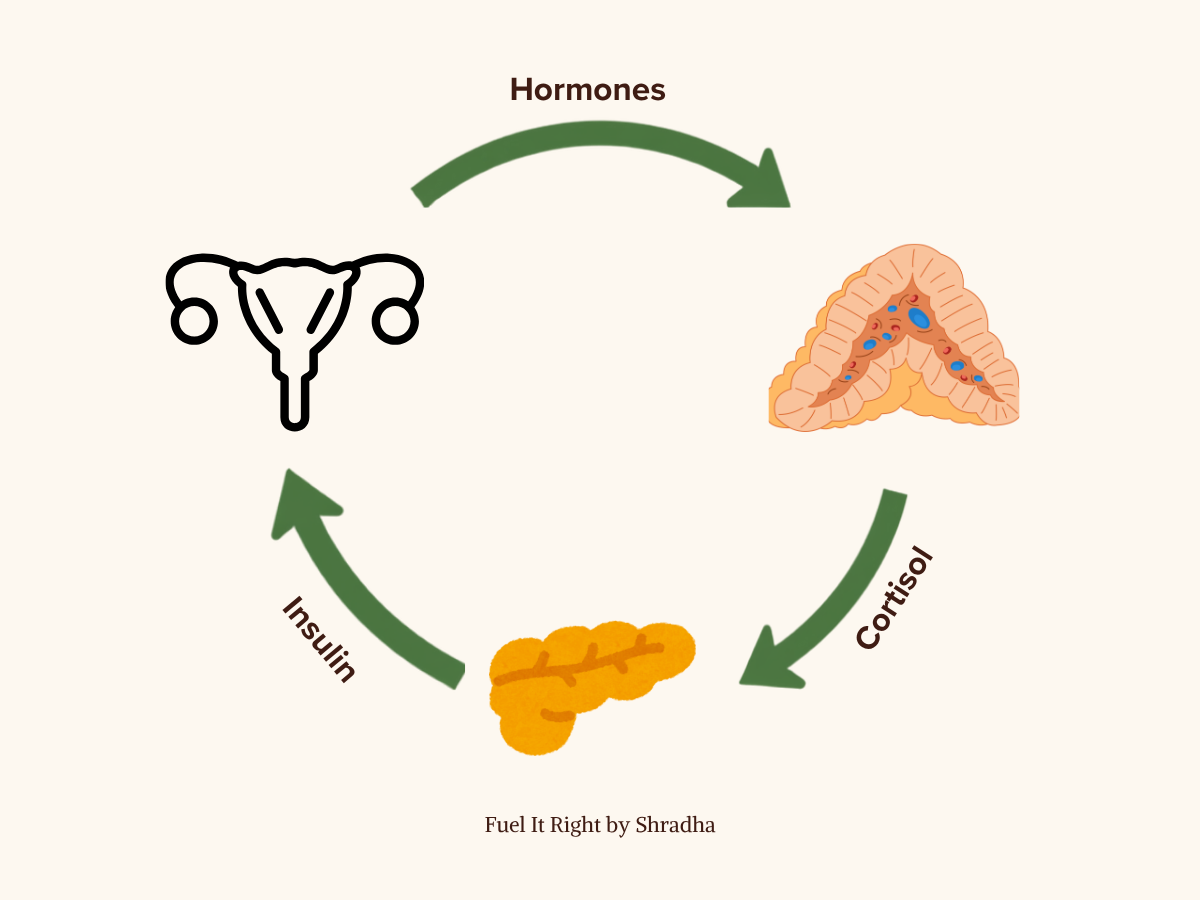 Illustrated diagram of insulin, hormone, and cortisol pathways involved in PCOS and PMOS