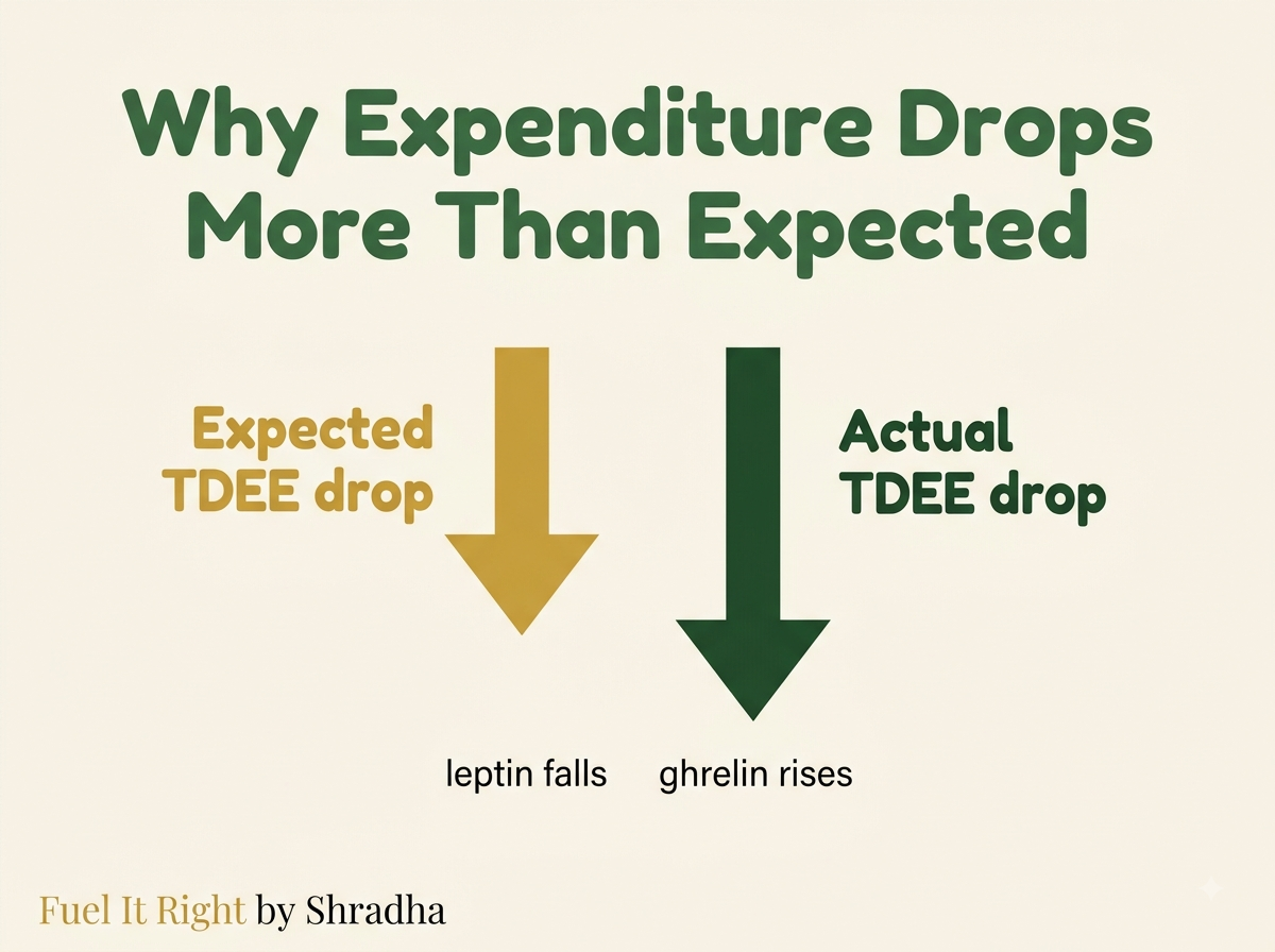 Diagram showing how the body's total daily energy expenditure drops beyond what reduced body mass alone predicts during sustained calorie restriction, driven by falling leptin and rising ghrelin