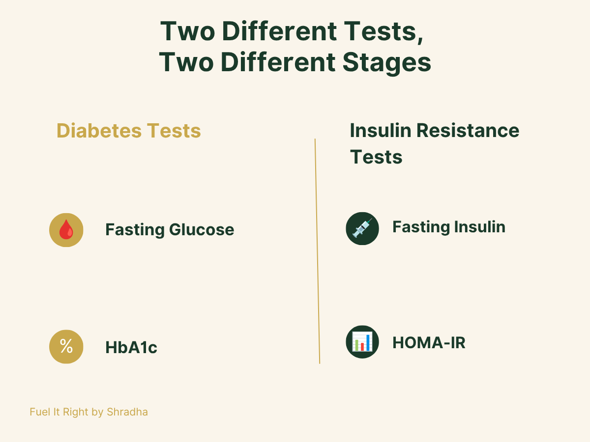 Simple explainer graphic showing fasting glucose and HbA1c as diabetes tests versus fasting insulin and HOMA-IR as insulin resistance tests