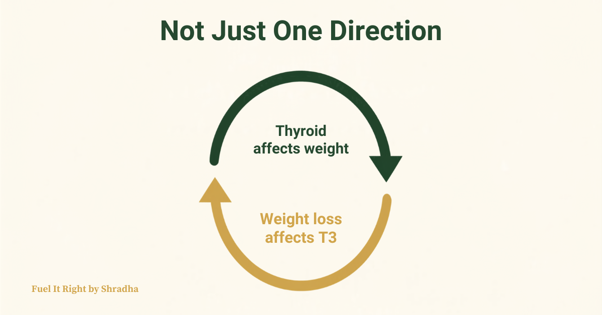 Graphic showing that weight loss on GLP-1 medication was linked to a significant drop in T3 levels in hypothyroid patients, suggesting thyroid and weight influence each other in both directions