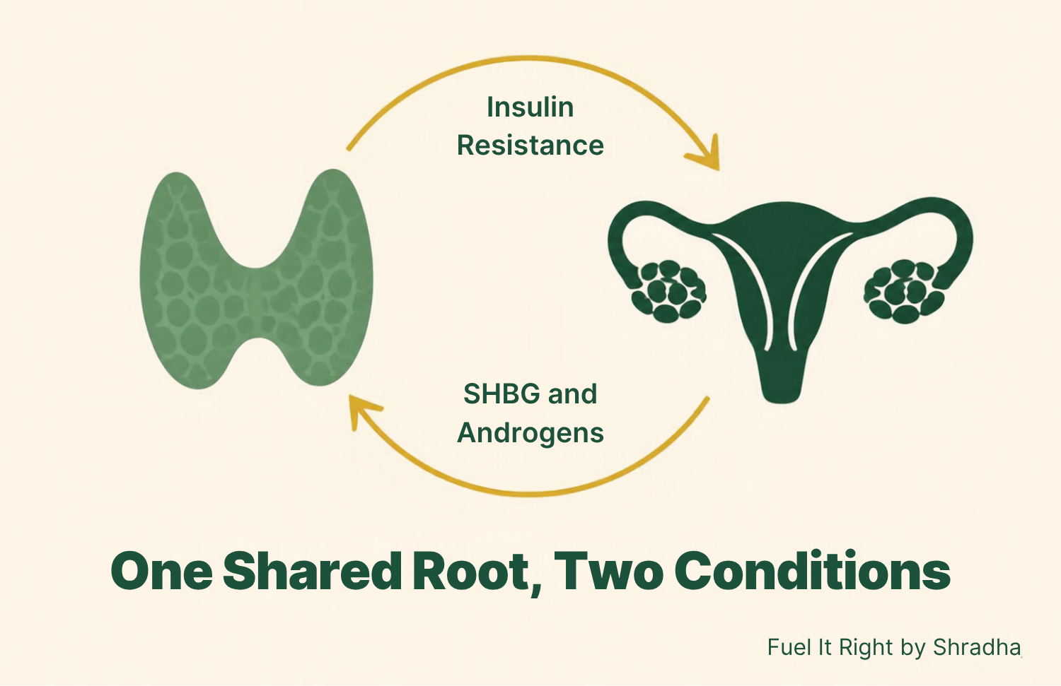 Abstract loop diagram linking thyroid function and PCOS insulin resistance, forest green and gold palette