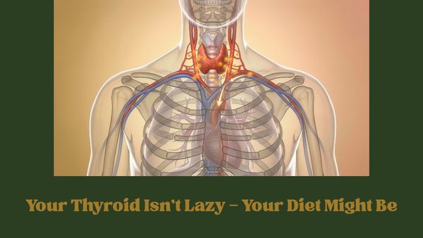 Thyroid gland anatomy illustration showing thyroid nutrition and its role in the human body