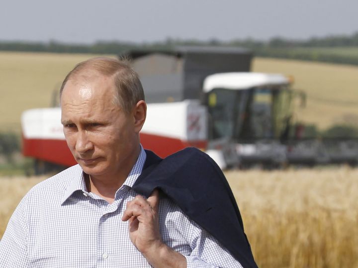 Russia's Grain Problem