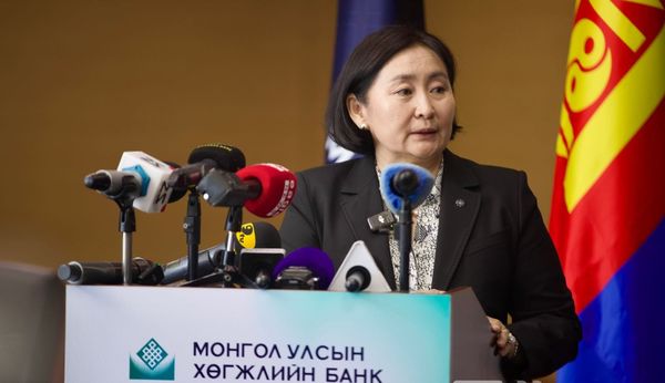 Development Bank CEO Removed