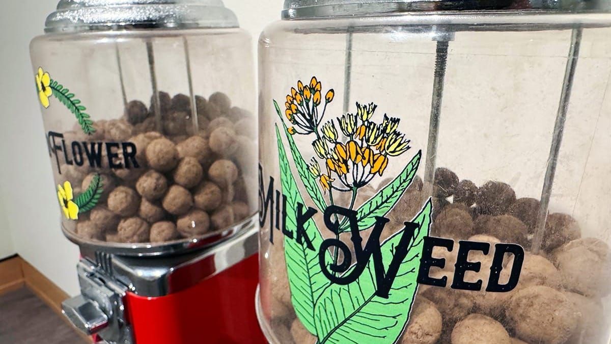 Still Here: Reclaiming place in ‘DoPiKa: Reinstate’