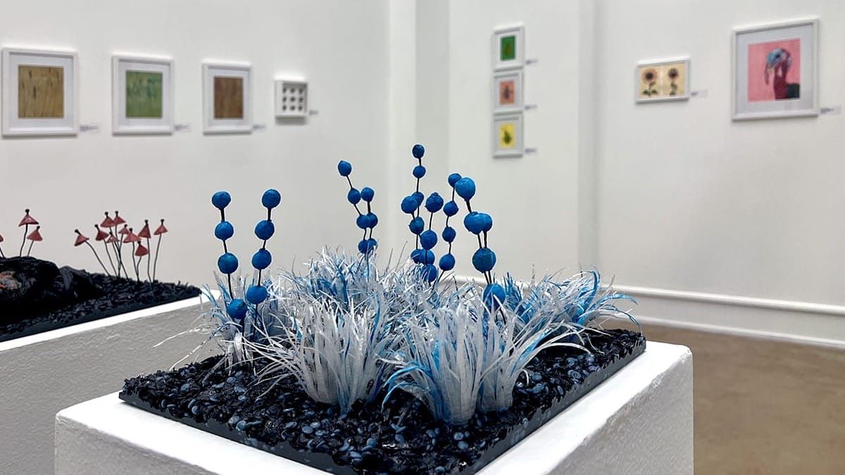 Apocalyptic positivity:  A journey through Emily E. Ritter’s 'Ecologies of the Self'