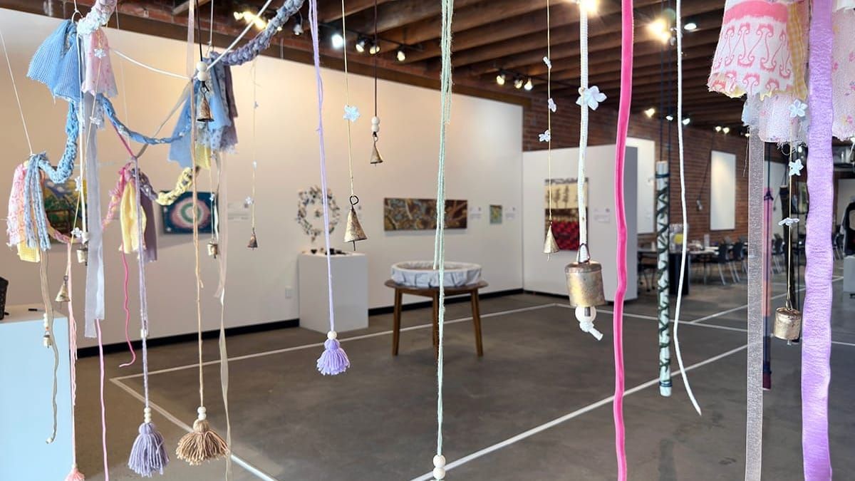 Different ways to see: Maggie Garner at Envision Arts Center