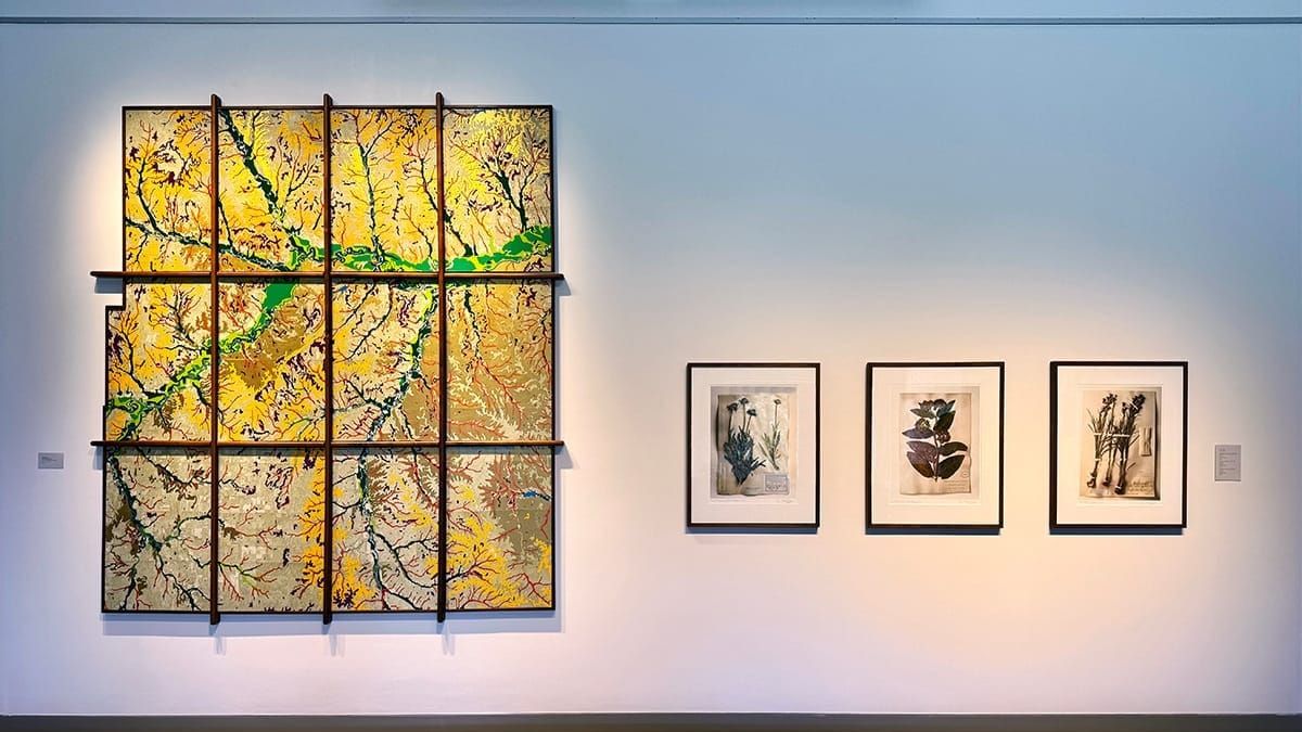 Reveling in place: 'A Tribute to the Art of Symphony in the Flint Hills Field Journals'