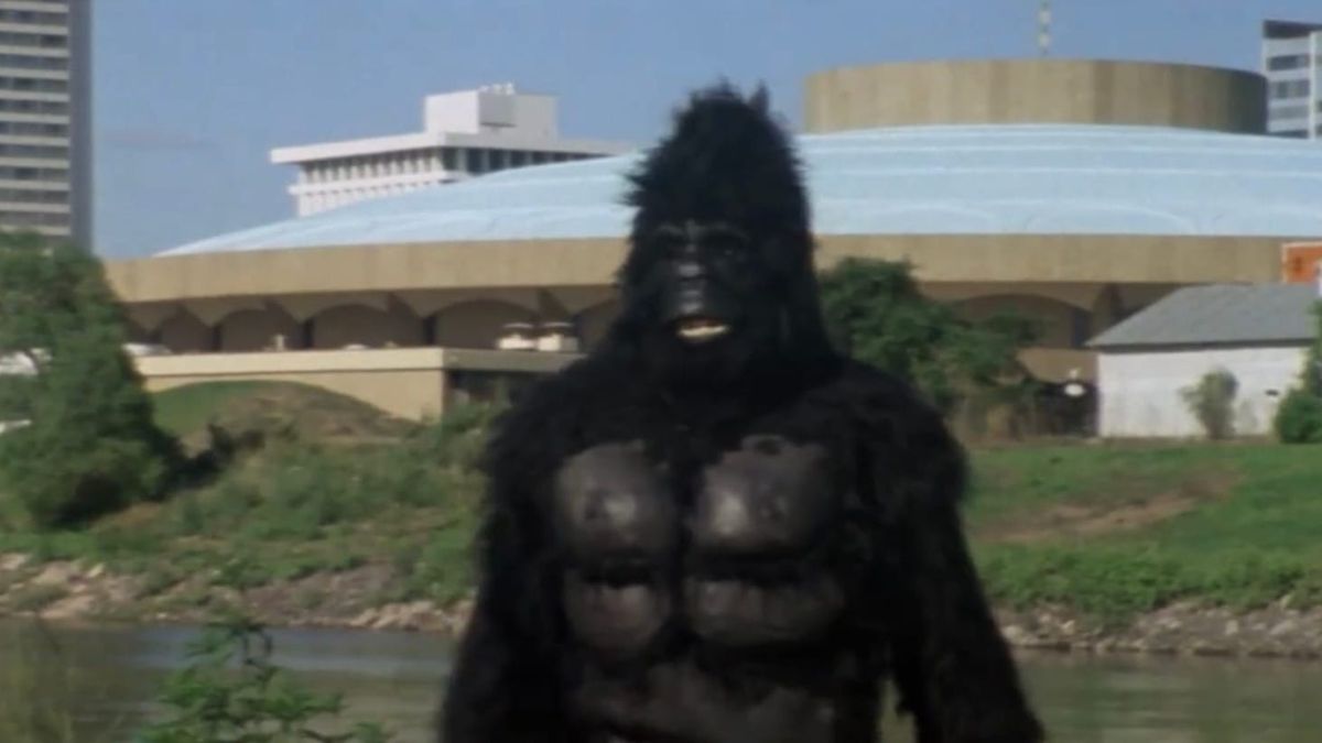 In zany martial arts romp 'King Kung Fu,' 1970s Wichita is in the picture