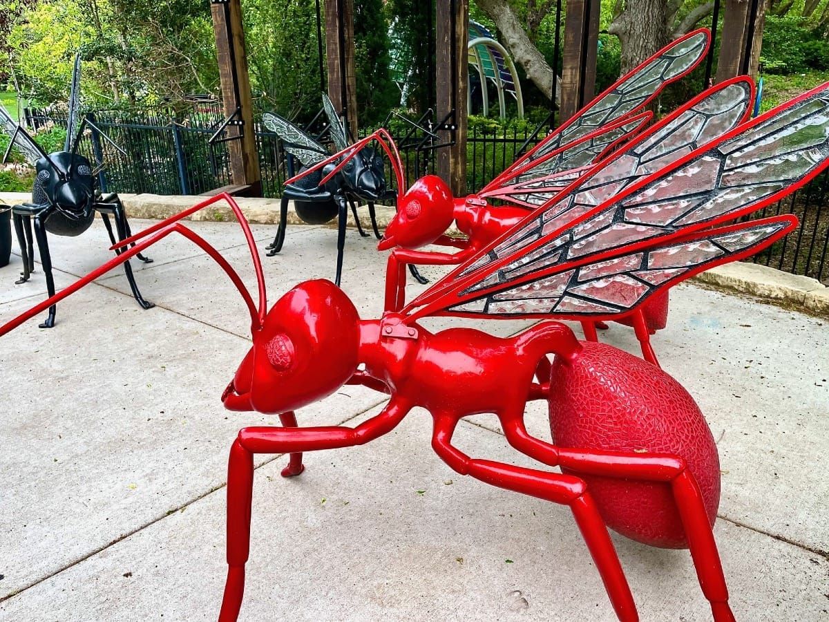 An outdoor sculpture exhibition at Botanica is a colorful celebration of insects