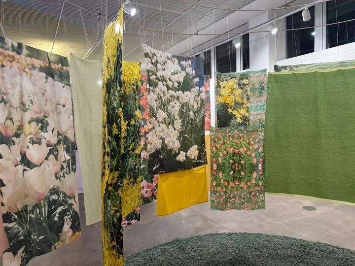 Mini review: Jill Luton’s ‘A Soft Place to Land’ at Harvester Arts