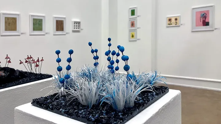 Apocalyptic positivity:  A journey through Emily E. Ritter’s 'Ecologies of the Self'