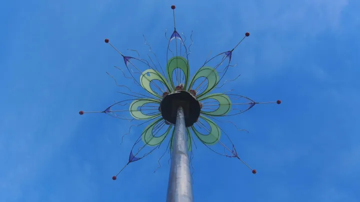 How Wichita's 'Passiflora Sorma' was reborn