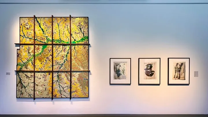 Reveling in place: 'A Tribute to the Art of Symphony in the Flint Hills Field Journals'