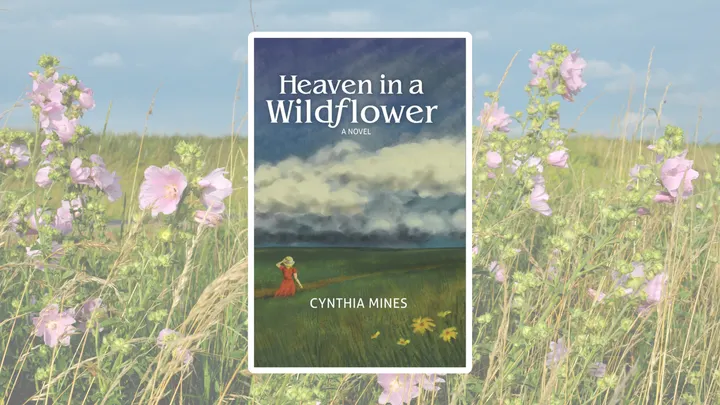 A new historical novel tackles the 'enigma' that is Kansas