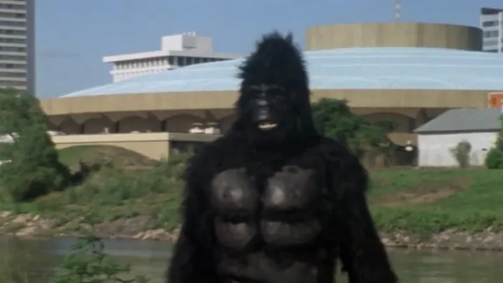 In zany martial arts romp 'King Kung Fu,' 1970s Wichita is in the picture