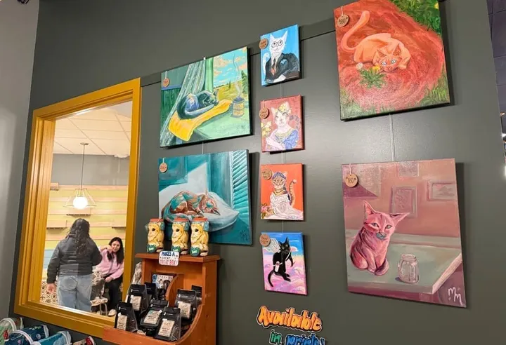 How to enjoy Wichita's first cat cafe
