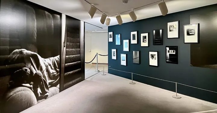 "Let Me Take You Down": Jennifer Ray, Kendra Cremin, and Kelsy Gossett Dennis at WAM