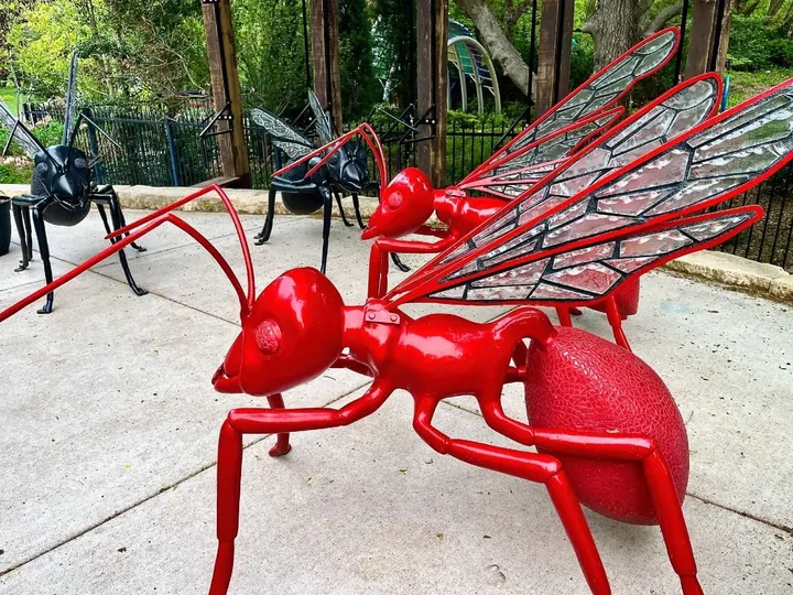 An outdoor sculpture exhibition at Botanica is a colorful celebration of insects