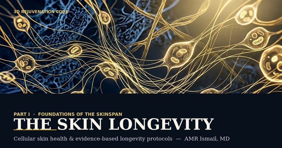 The Skin Longevity · Part I: Foundations of the Skinspan — Three Vectors, One Framework