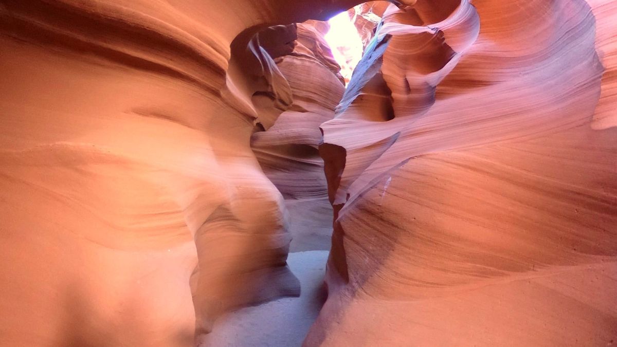 Canyon X