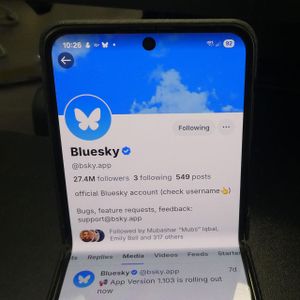 Are We Missing the Bigger Picture about Bluesky?