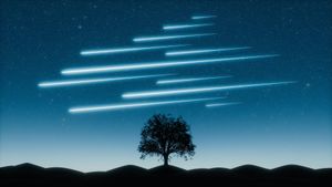 The long arc from Twitter to now