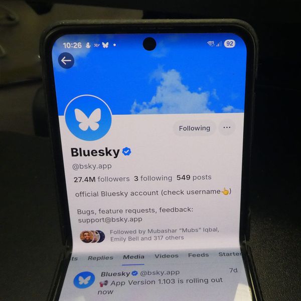 Are We Missing the Bigger Picture about Bluesky?