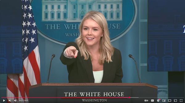 The Rise of Political ‘Newsfluencers’