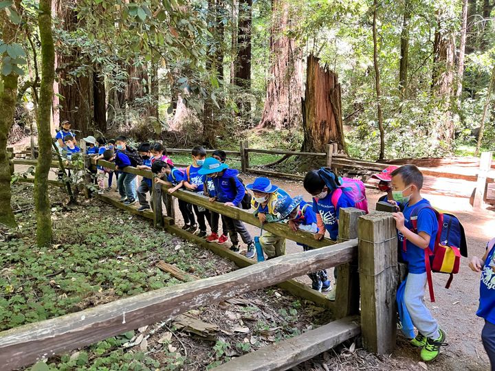Summer Campers in Nature
