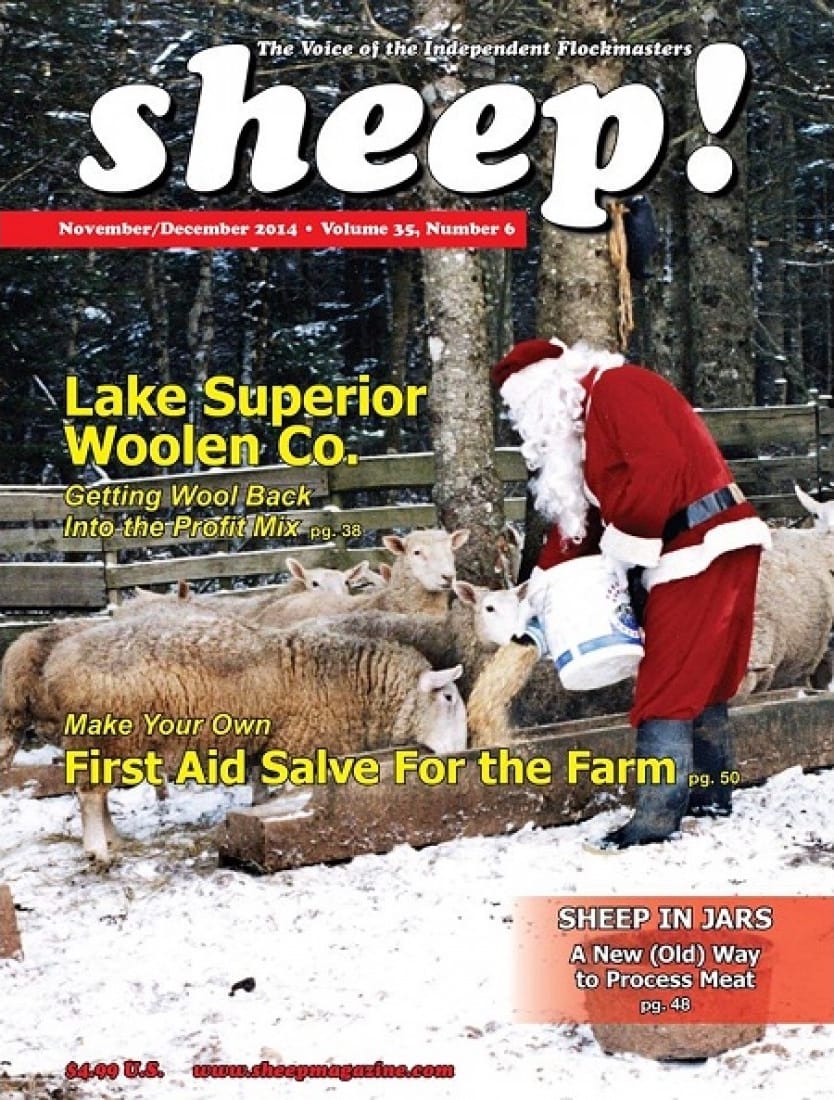 Front cover of sheep! magazine from Nov/Dec 2014 showing Santa Claus feeding sheep