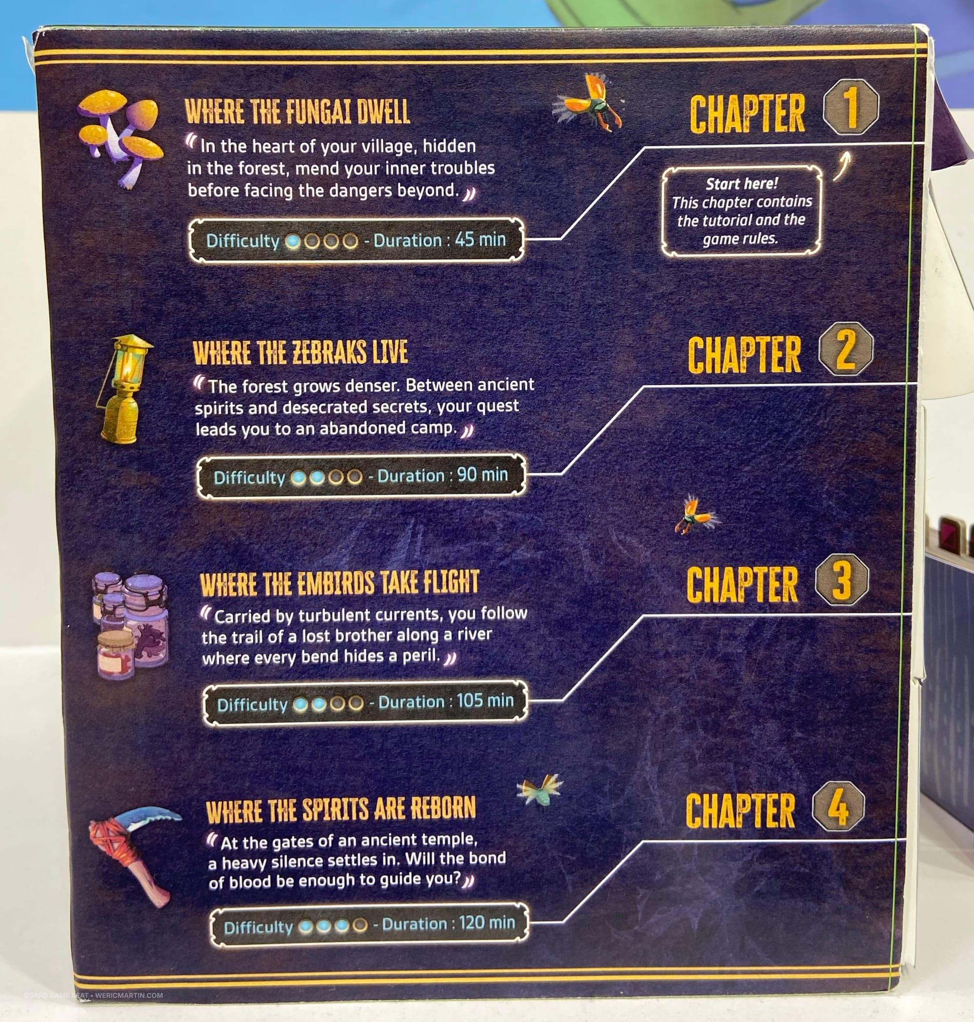Side of the box of Fragments: Fungatai