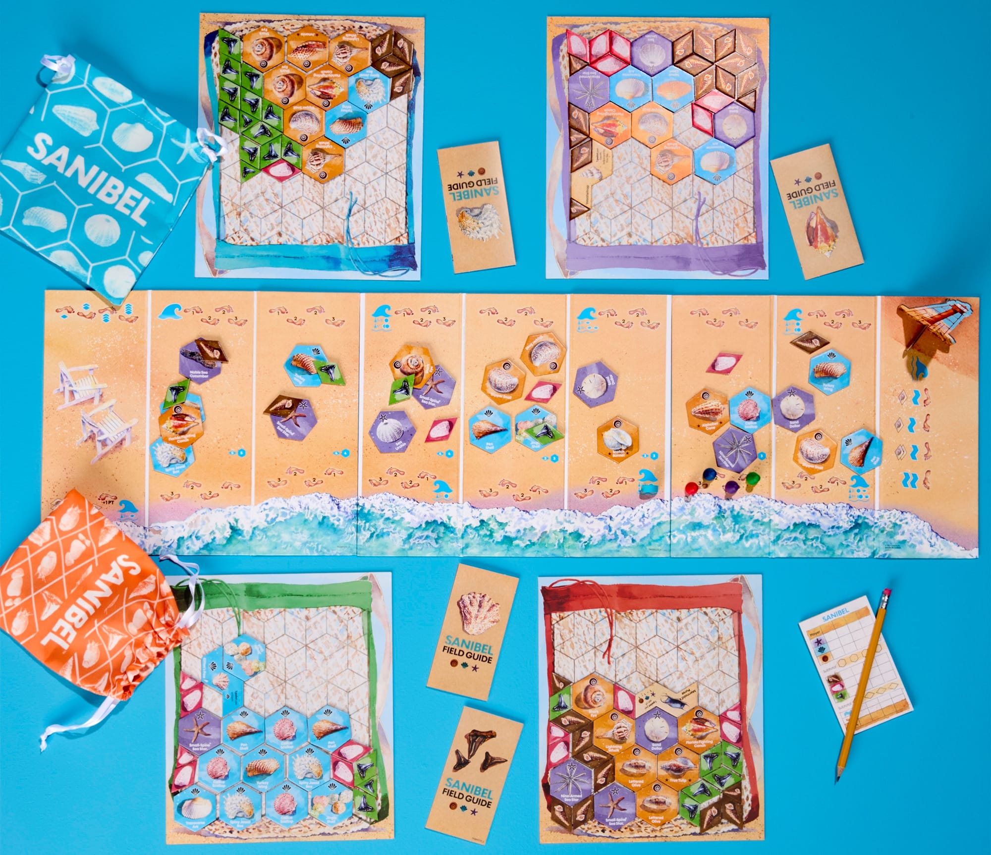 Depicted: components in the game Sanibel, including a game board divided into regions with a different number of tiles in each region; each player has a personal game board that represents a bag they've filled with shell tiles