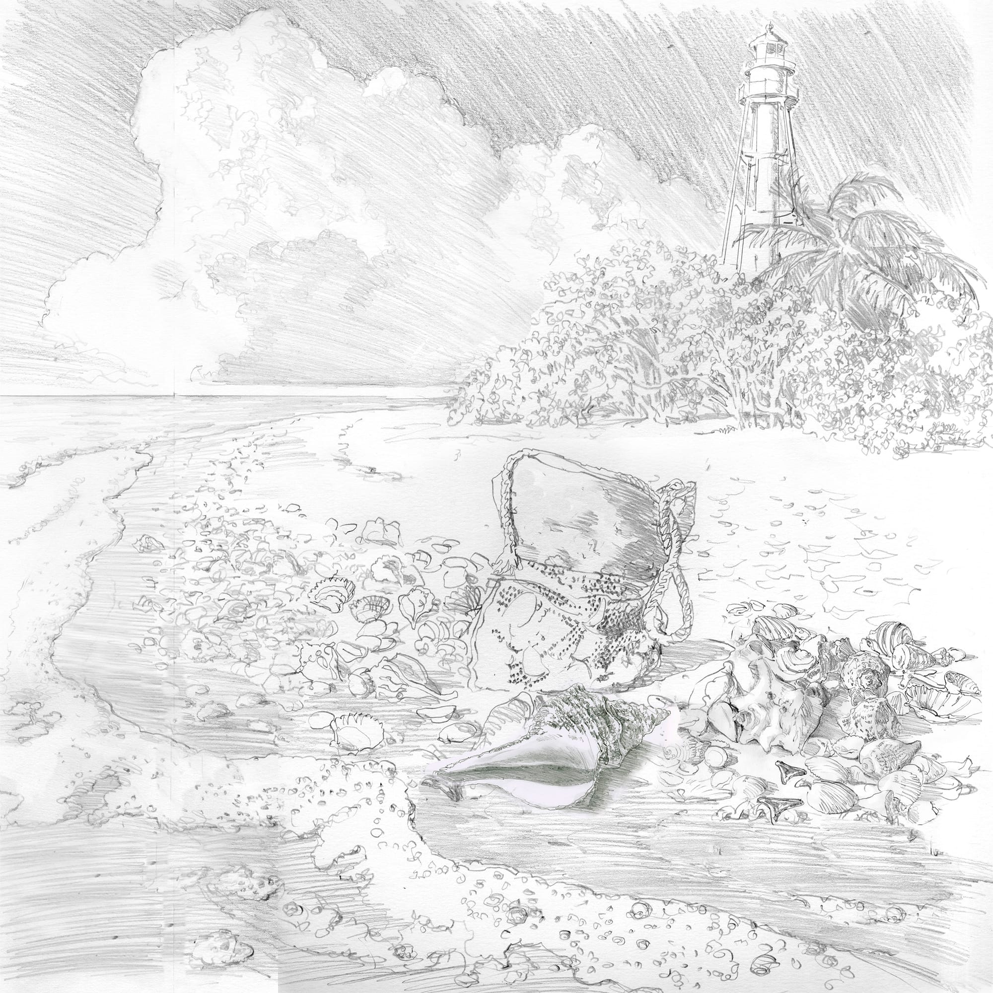 Depicted: a pencil sketch of dozens of shells surrounding a carrying bag on the beach, with a lighthouse and clouds looming in the background