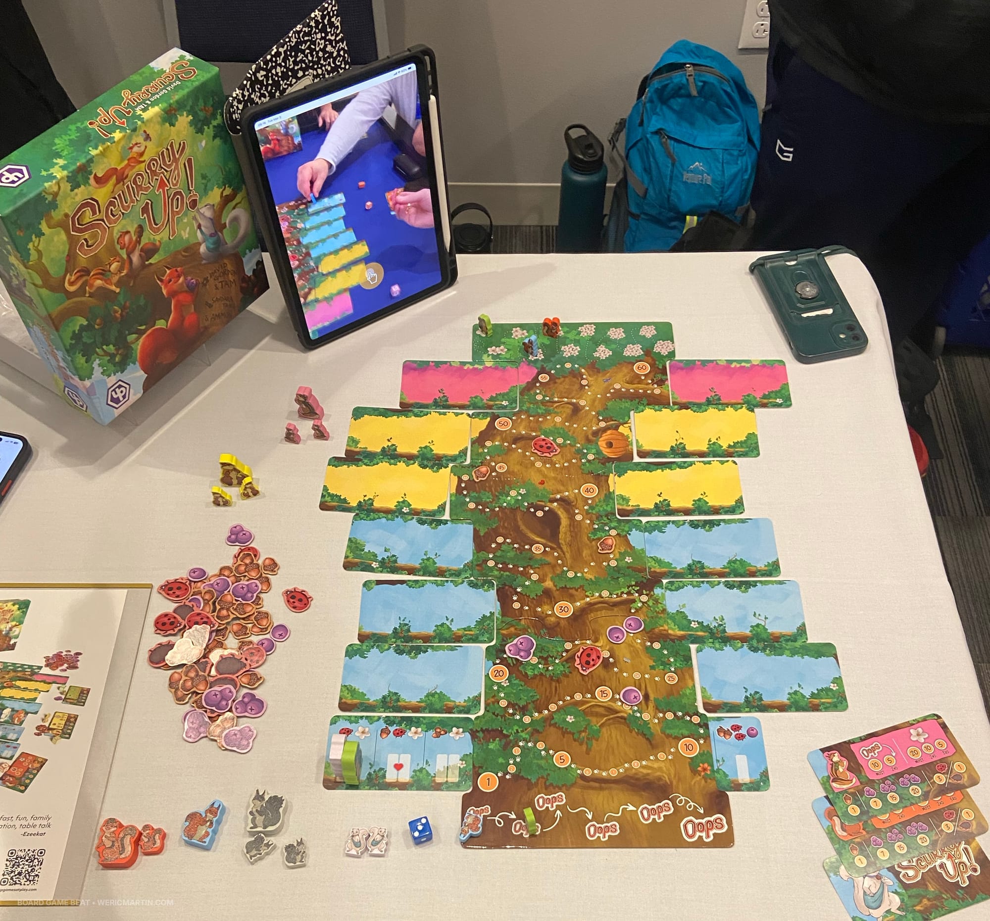 A layout of cards on both sides of a tree, with seven rows of cards, one for each round of the game; squirrel figures and resource tokens are nearby.