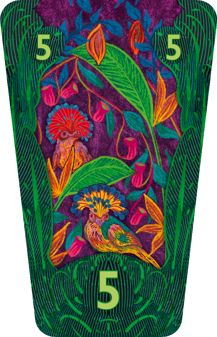 Card #5, with colorful birds surrounded by leaves in front of a purple background filled with various plants