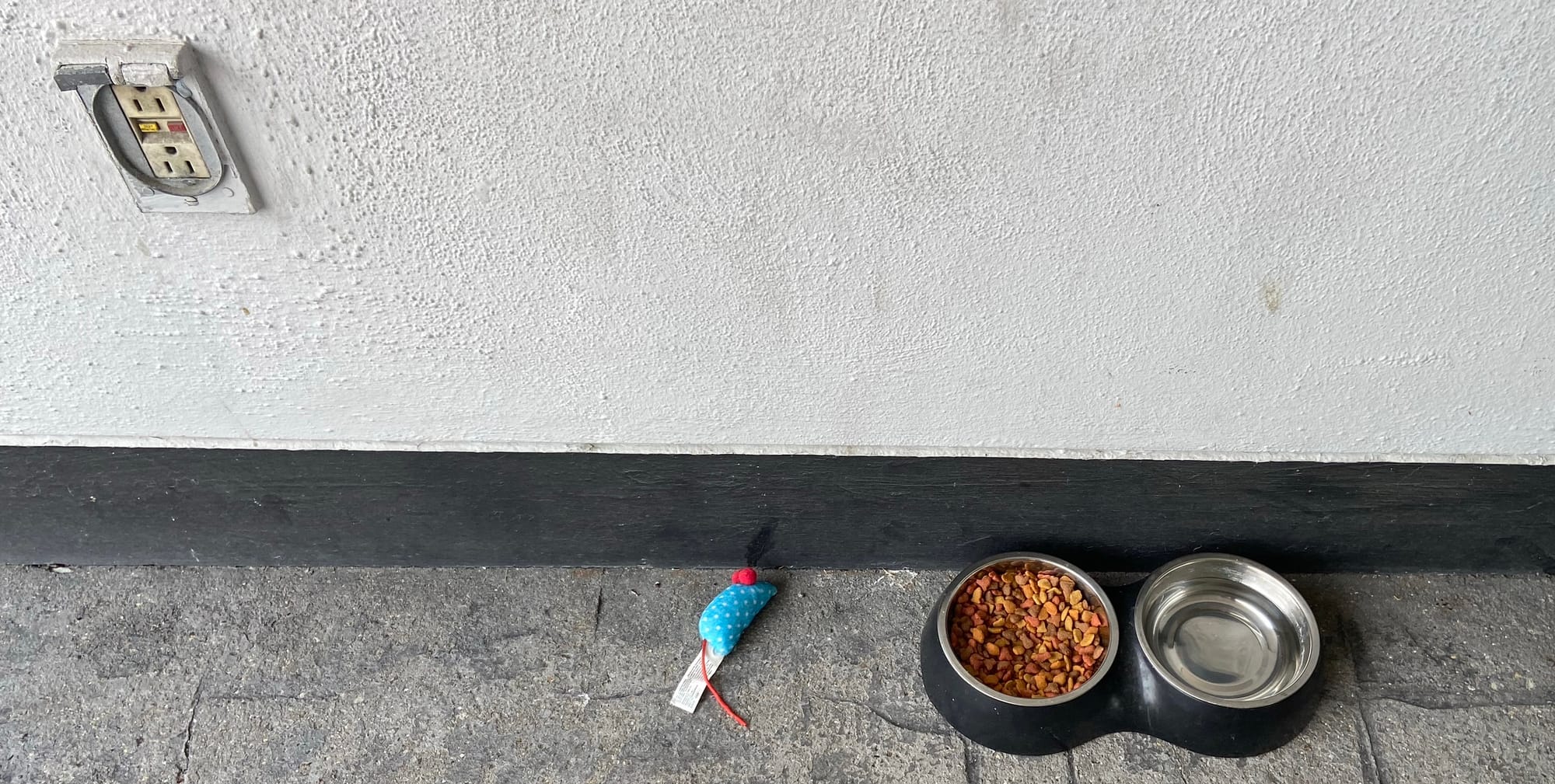 Bowls filled with water and cat food sit on a sidewalk, next to a cat toy.