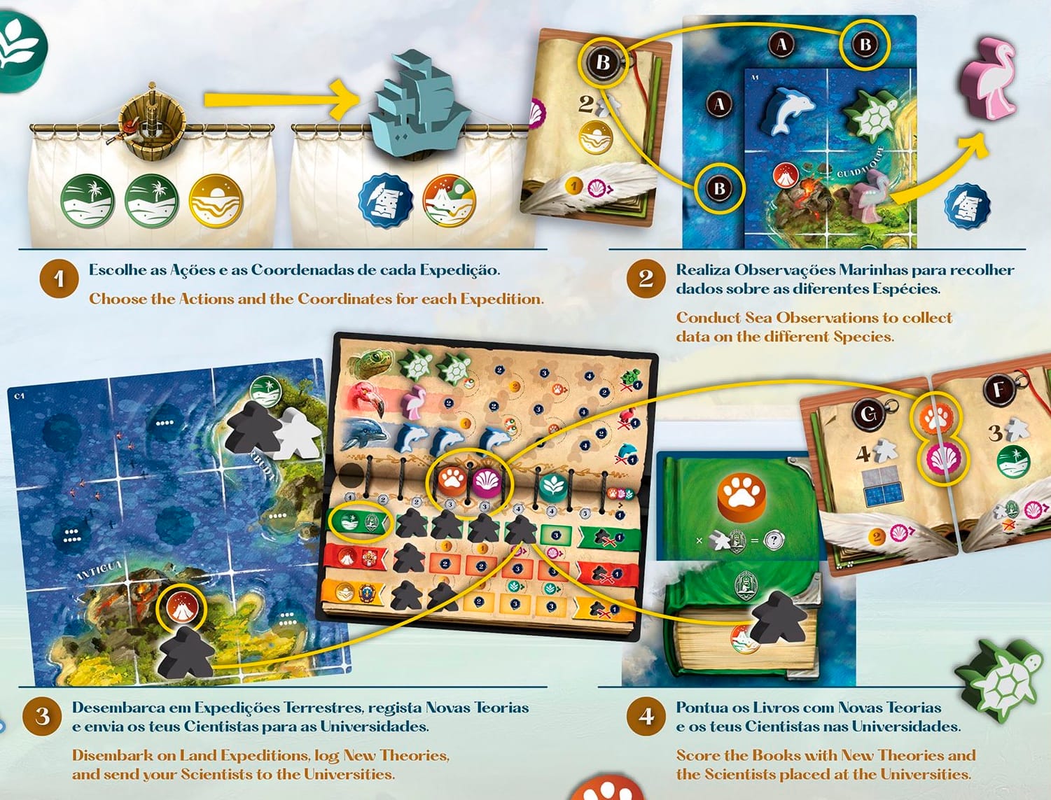 The action described on the back cover are included in the description in this post.