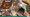 A hand of numbered cards in five suits is prominently placed in the image, in front of the box for The Crew: Journey of the Ends of the Earth.