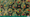 The game board consists of ritual sites that feature 1-4 colored dice on them, with pathways connecting some of the sites and with forests also connecting some of the sites into clearings.