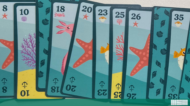 Flip Pandas, Slide Blocks, and Handle Fugu with Care