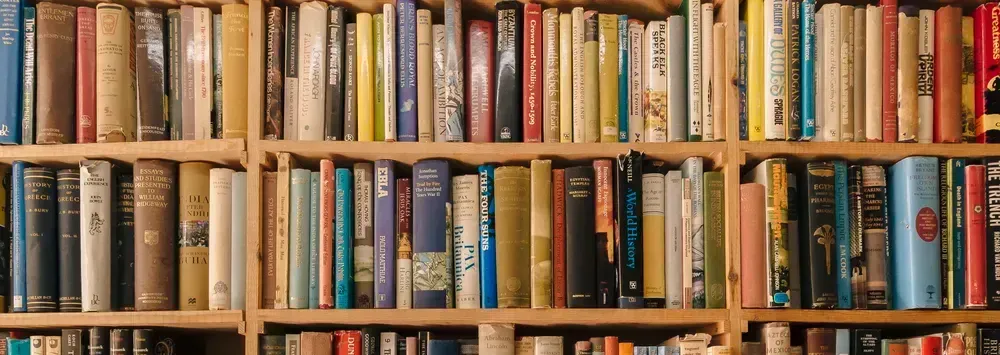 Friday Reads 12/1/2023