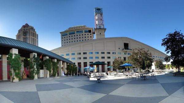 Dead Heat as Mississauga Race Concludes